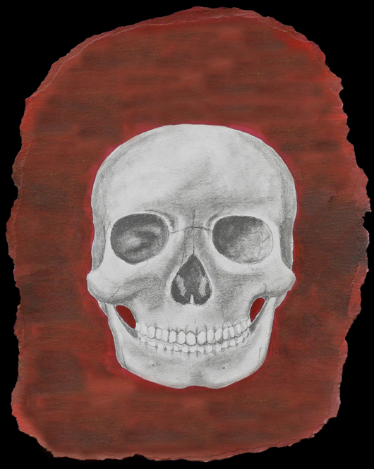 skull 2014